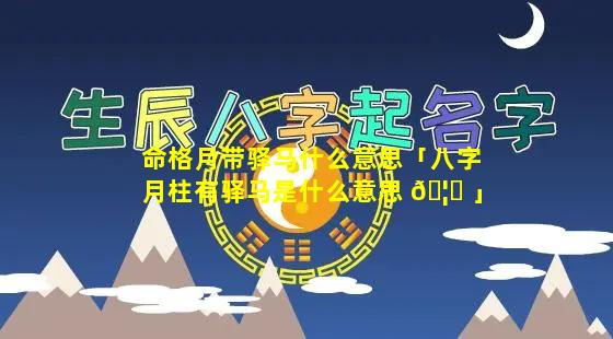 命格月带驿马什么意思「八字月柱有驿马是什么意思 🦅 」